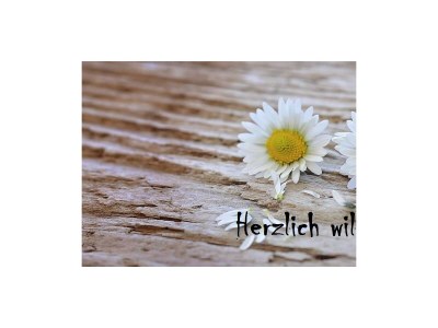 Apartment F2-Appartement 16 1-3 Nächte - Features photo 36