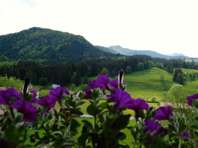 Apartment Ferienwohnung Tina - Outdoor photo 5