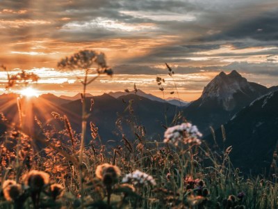 Apartment Cabin Typ "Bärenkopf" - Outdoor photo 18