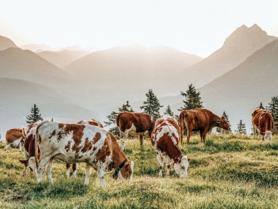 Apartment Cabin Typ "Seespitz" - Outdoor photo 14