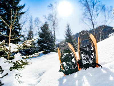 Apartment Cabin Typ "Karwendelblick" - Outdoor photo 8