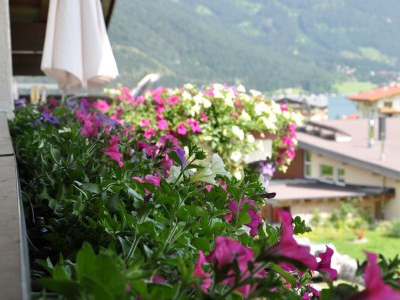 Apartment Wohnung 4 - Features photo 16