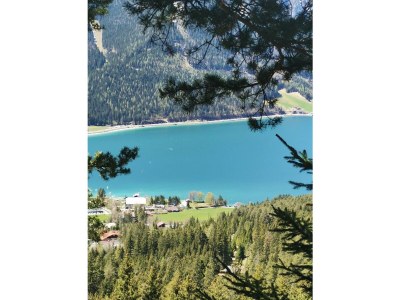 Apartment Ferienwohnung Charlotte - Outdoor photo 8