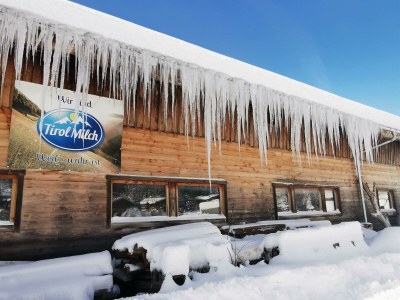 Apartment Ferienwohnung Felix - Outdoor photo 10