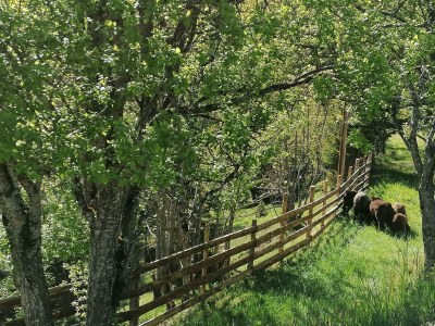 Apartment Ferienwohnung Ausserberg - Outdoor photo 2