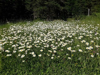 Apartment Ferienwohnung Ausserberg - Outdoor photo 10