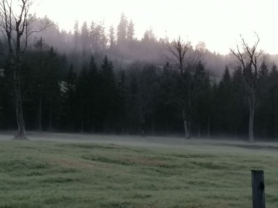 Apartment Ferienwohnung Ausserberg - Outdoor photo 13