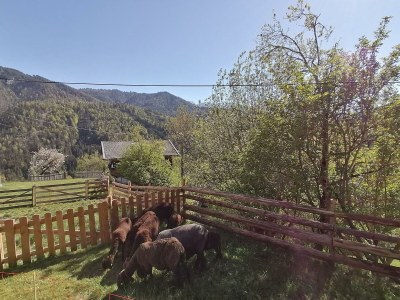 Apartment Ferienwohnung Ausserberg - Outdoor photo 14