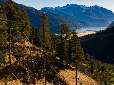 Apartment Ferienwohnung Sieglinde - Outdoor photo 12