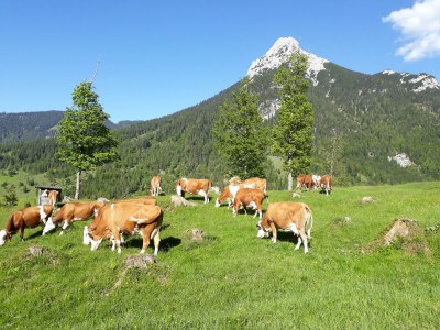 Apartment Ferienwohnung Sylvia - Outdoor photo 11