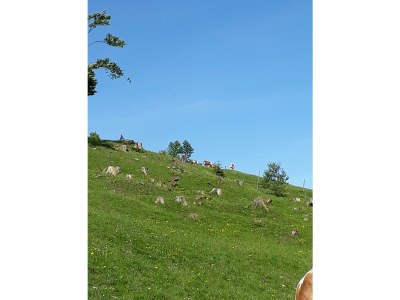 Apartment Ferienwohnung Sylvia - Outdoor photo 13