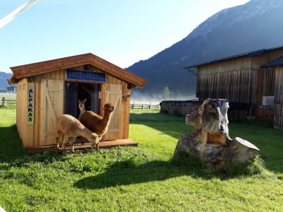 Apartment Ferienwohnung Sylvia - Outdoor photo 14