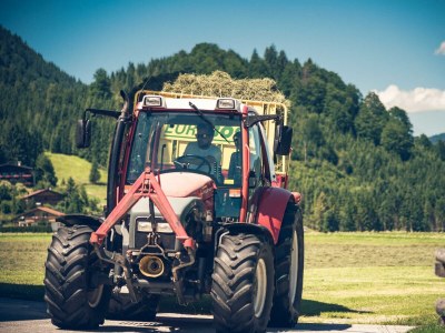 Apartment Ferienwohnung Sylvia - Outdoor photo 16