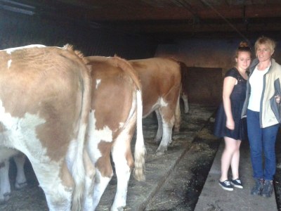 Apartment Ferienwohnung Sylvia - Outdoor photo 17