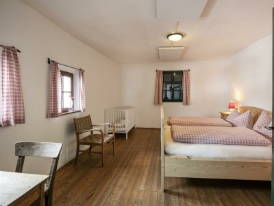 Apartment Mesnerhof-C, CABIN / HÜTTE - Outdoor photo 4