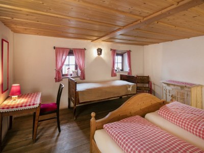 Apartment Mesnerhof-C, CABIN / HÜTTE - Features photo 33