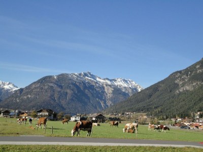 Apartment Ferienwohnung B - Outdoor photo 18