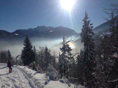 Apartment Ferienwohnung B - Outdoor photo 20