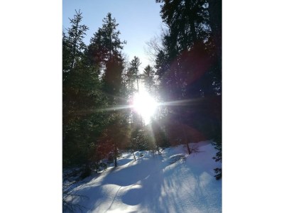 Apartment Ferienwohnung Rofan - Outdoor photo 14