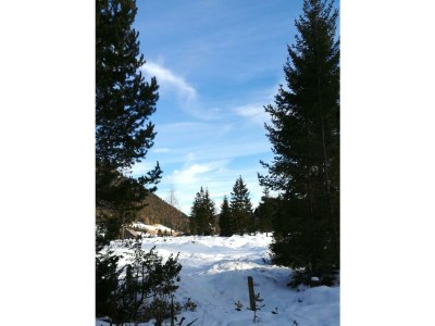 Apartment Ferienwohnung Guffert - Outdoor photo 6