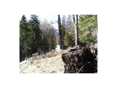 Apartment Ferienwohnung Guffert - Outdoor photo 9