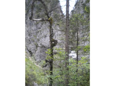 Apartment Ferienwohnung Guffert - Outdoor photo 11