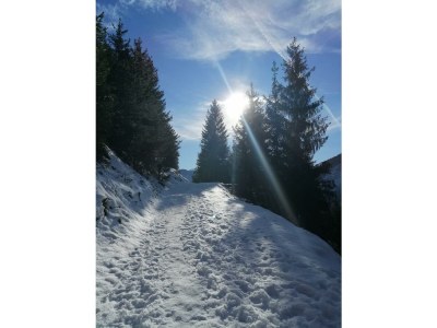 Apartment Ferienwohnung A - Outdoor photo 7