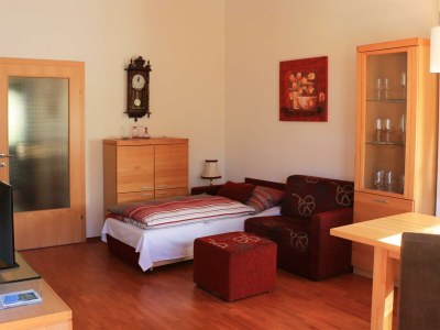 Apartment F3 - Features photo 12