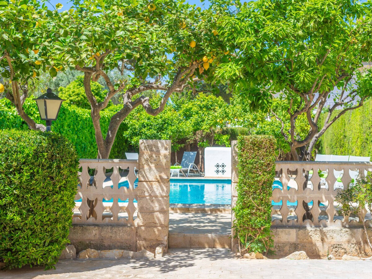 Villa Can Miquel (Tord) - Outdoor photo 3