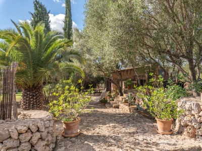 Holiday house CAN PINA - ECO GROC - Outdoor photo 8