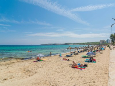 Holiday apartment Sa Maniga - Environment photo 25