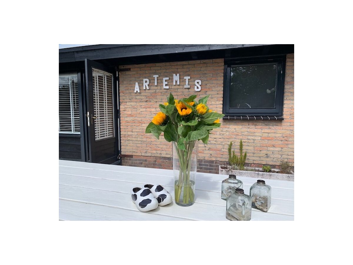 Bungalow Artemis - Outdoor photo 4