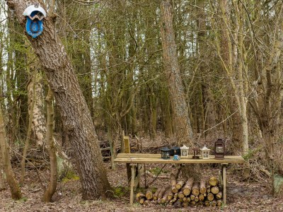 Bungalow Artemis - Outdoor photo 11