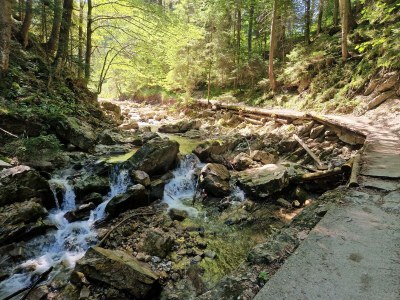 Holiday apartment Jehl - Environment photo 23