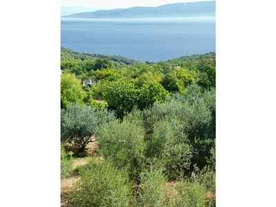 Holiday house Casa LenÃ¹ with pool and stunning sea view - Features photo 28