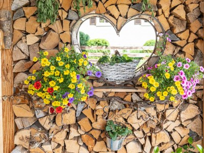 Holiday apartment Log cabin green heart - Features photo 20