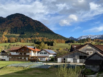 Holiday apartment Log cabin green heart - Features photo 22