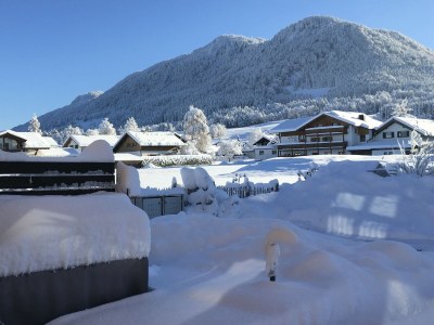 Holiday apartment Log cabin green heart - Features photo 24