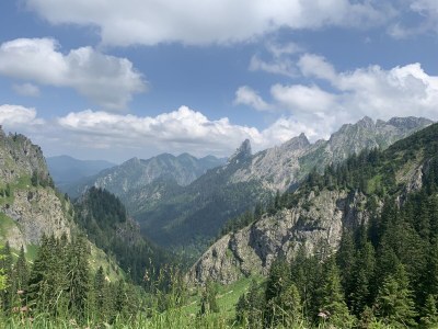 Holiday apartment Log cabin green heart - Environment photo 27