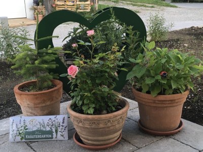 Holiday apartment Log cabin green heart - Environment photo 31