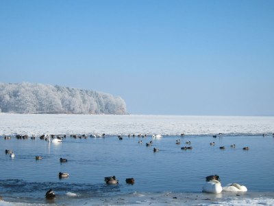 Holiday house Nautilus 17C - Environment photo 22