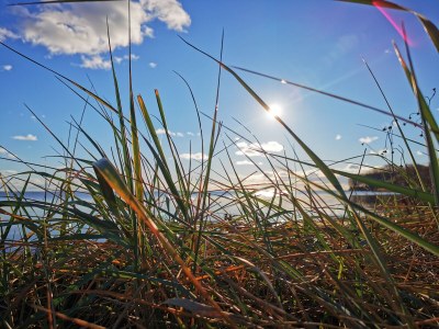 Holiday house Nautilus 17C - Environment photo 27