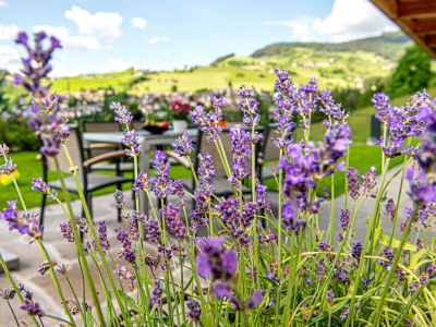 Holiday apartment Chalet Schlern - Outdoor photo 8