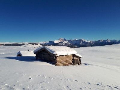 Holiday apartment Chalet Schlern - Environment photo 31