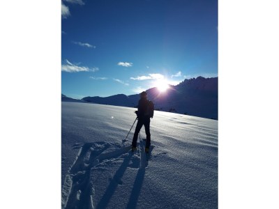 Holiday apartment Chalet Schlern - Environment photo 36