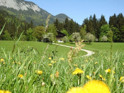 Apartment Hintenberg Lodge - Outdoor photo 4