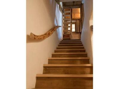 Apartment Rosenhofs Almhütte - Features photo 15