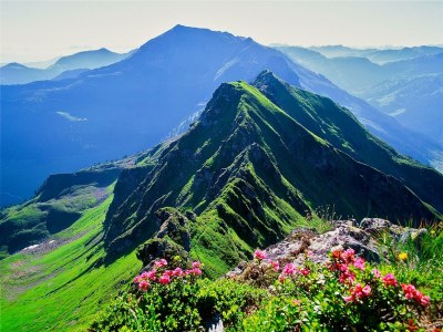 Apartment Ferienwohnung Roßmoos - Outdoor photo 16