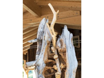 Apartment Ferienwohnung Alpbach - Outdoor photo 14