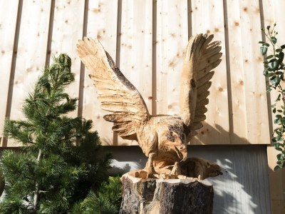 Apartment Ferienwohnung Alpbach - Outdoor photo 32